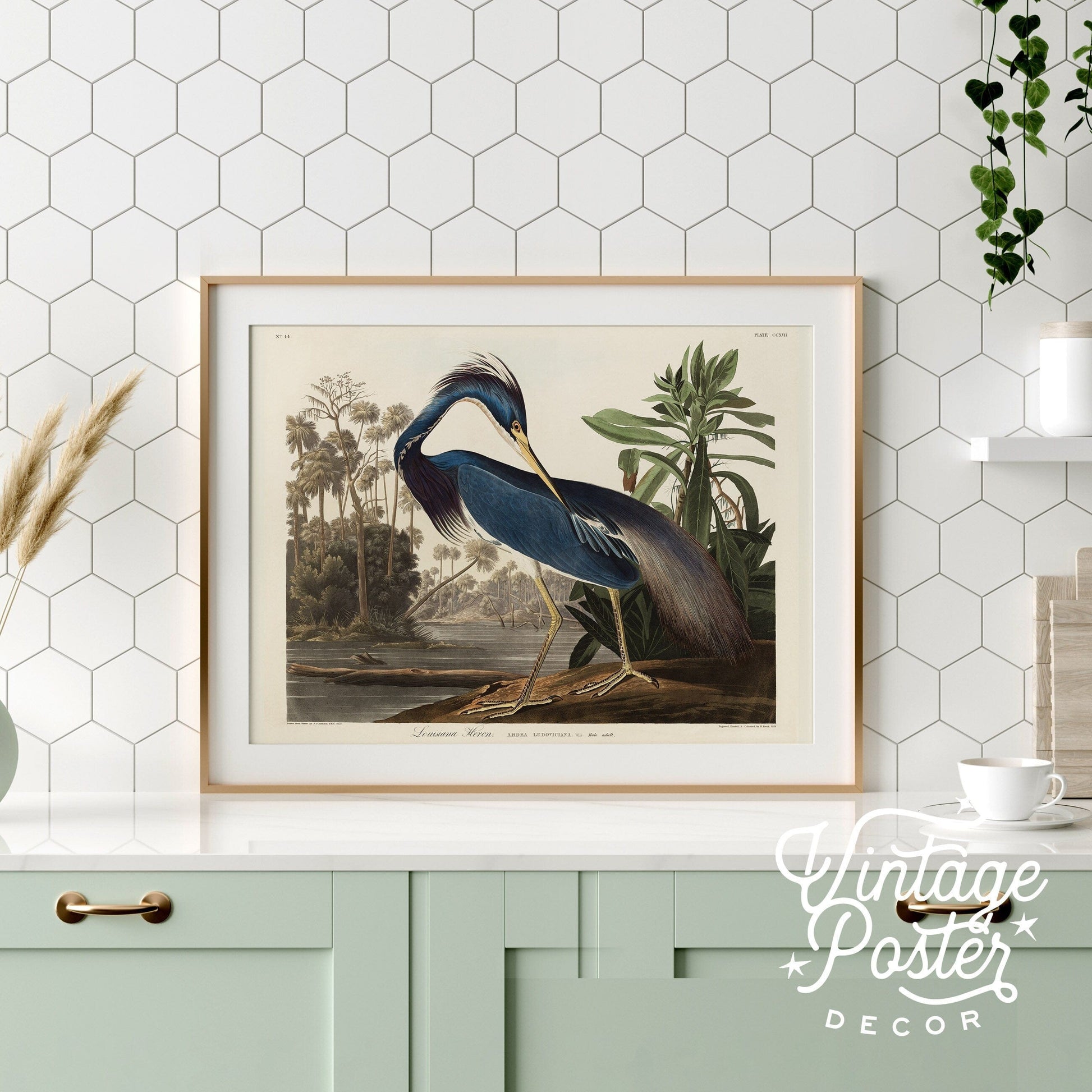 Home Poster Decor Antique Bird Painting, Vintage Bird, Blue Heron Print, Botanical Poster, Birds of America, Wedding Gift, High Quality Paper, Blue Bird Print