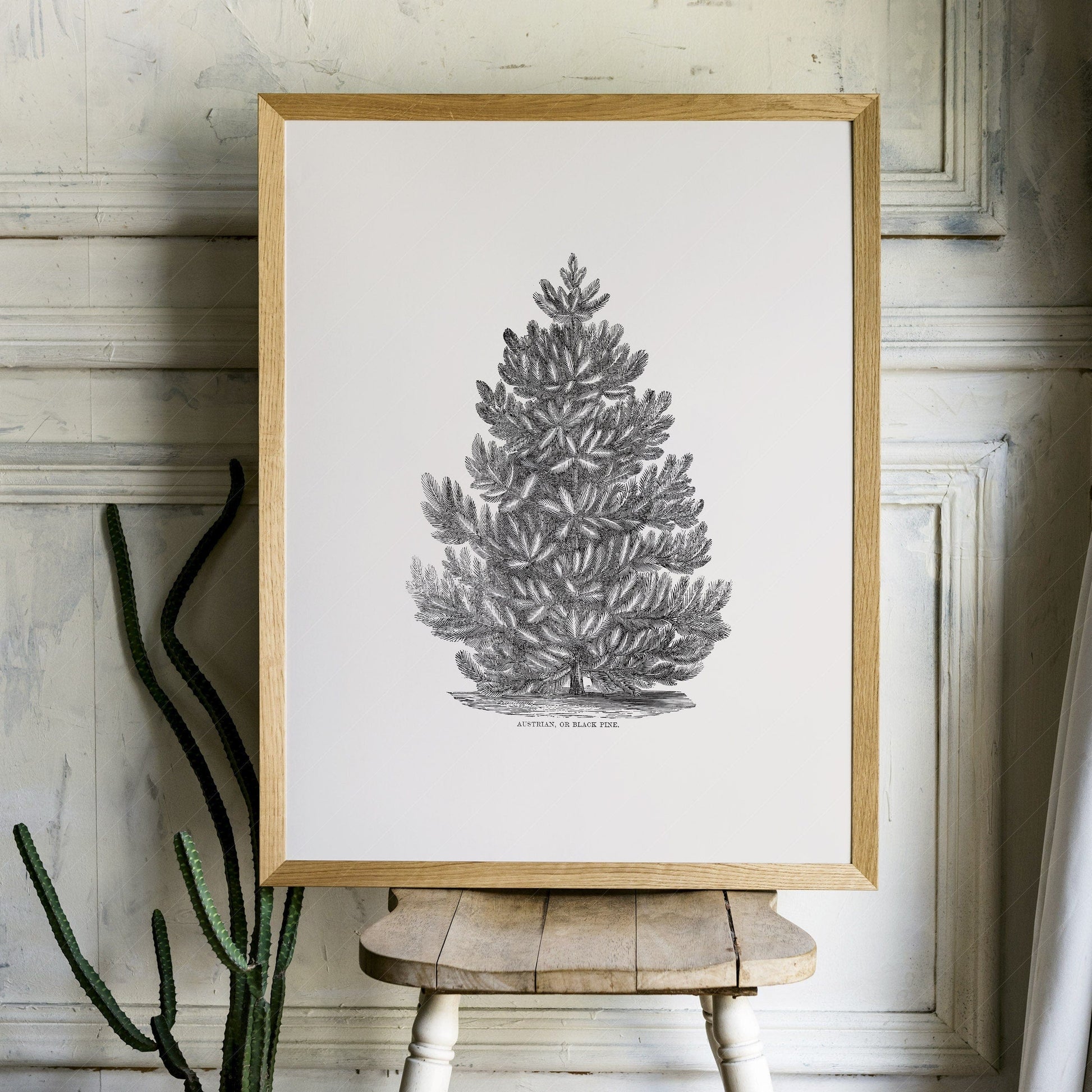 Home Poster Decor Black Pine Tree, Christmas Wall Decor, Forest Poster, Norway Spruce, Botanical Print, Winter Art, Vintage Gift, Nordic Forest, Canada Trees