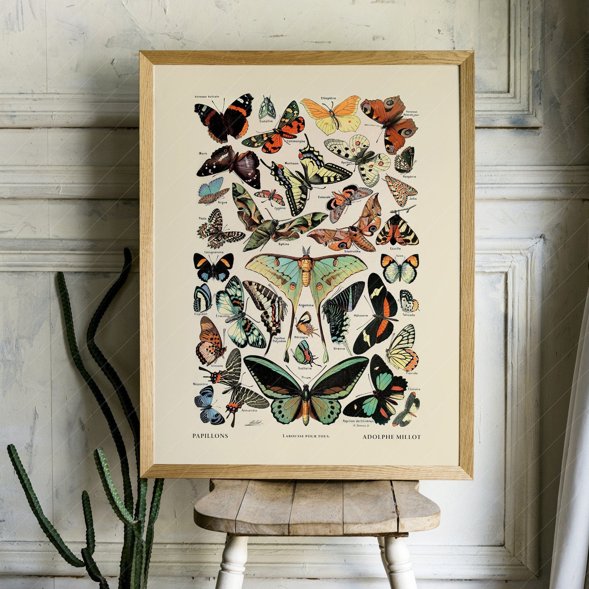 Home Poster Decor Single Butterfly Print, Adolphe Millot Poster, Girls Bedroom, Vintage Poster, Butterfly Poster, Gift for Her, Nursery Butterfly