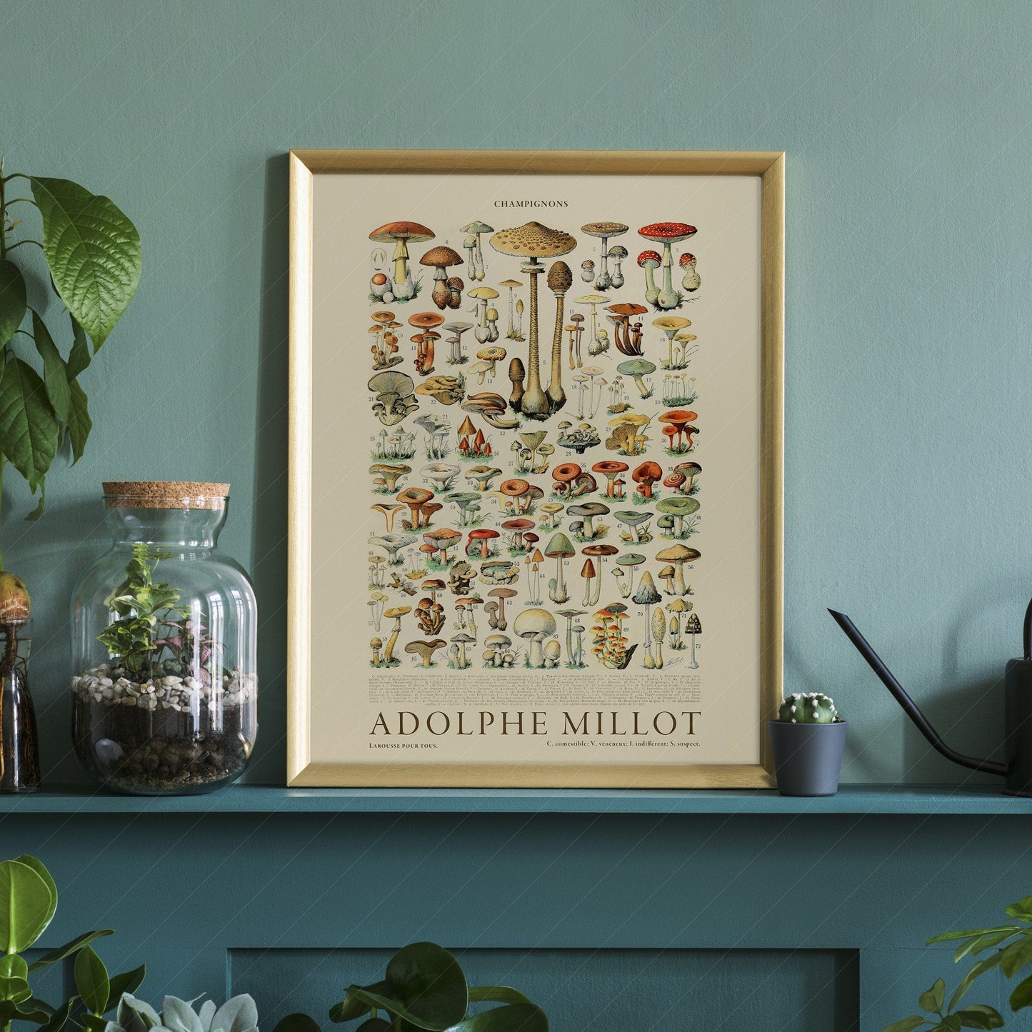 Home Poster Decor Champignons Print, Mushrooms Poster, Kitchen Vintage Print, Adolphe Millot Poster, Food Wall Art, Vintage Botanical, High Quality Print 2