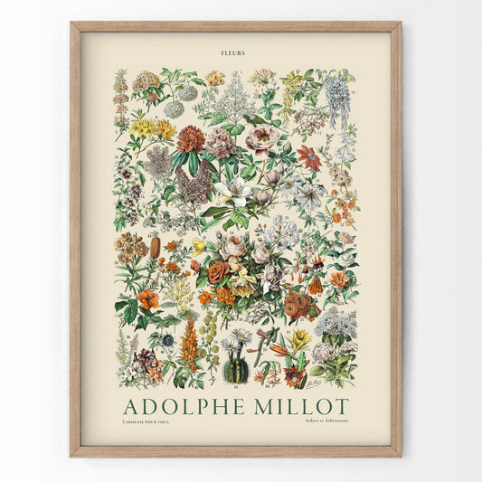 Home Poster Decor Floral Botanical Print, Garden Art, Adolphe Millot Poster, Vintage Flower, Kitchen Wall Decor, Forest Art, Trees Shrubs, Gift for Her,  2