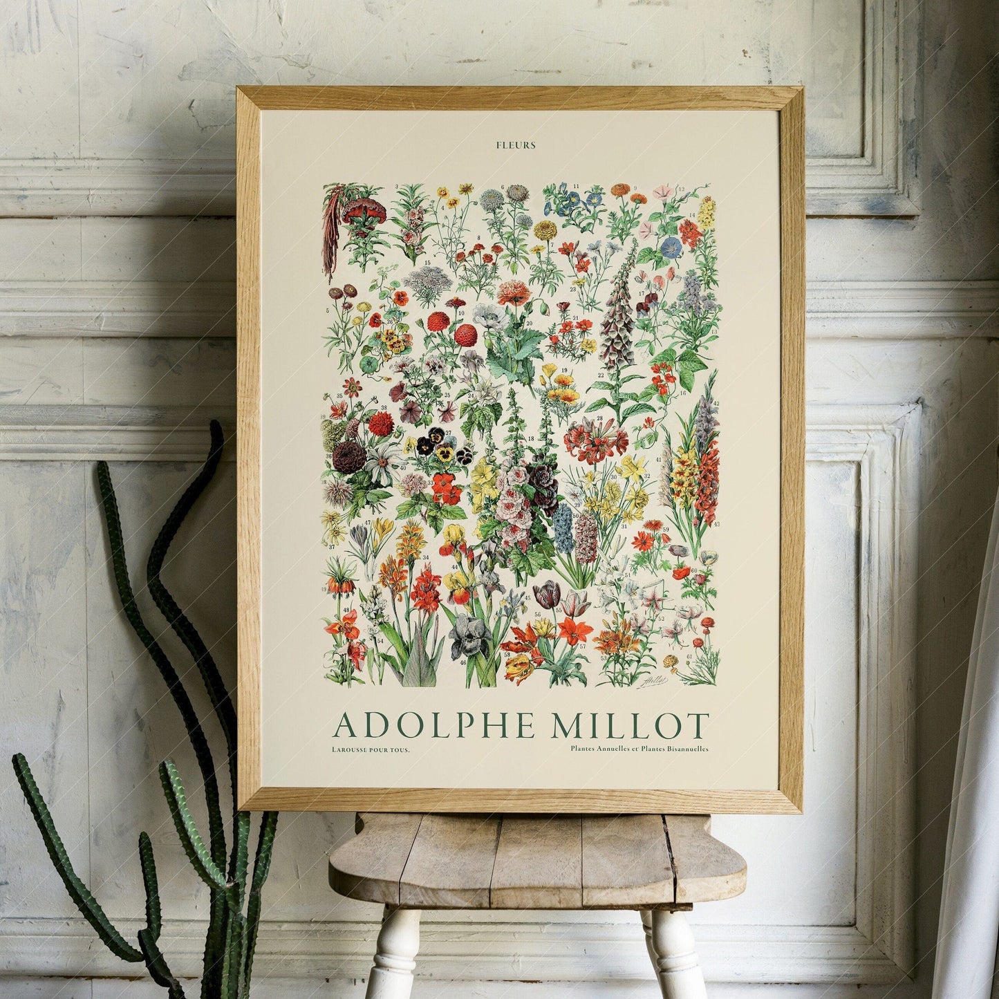 Home Poster Decor Single Flower Print, Adolphe Millot Poster, Vintage Flower Poster, Botanical Wall Art, Vintage Plants, Gift Idea