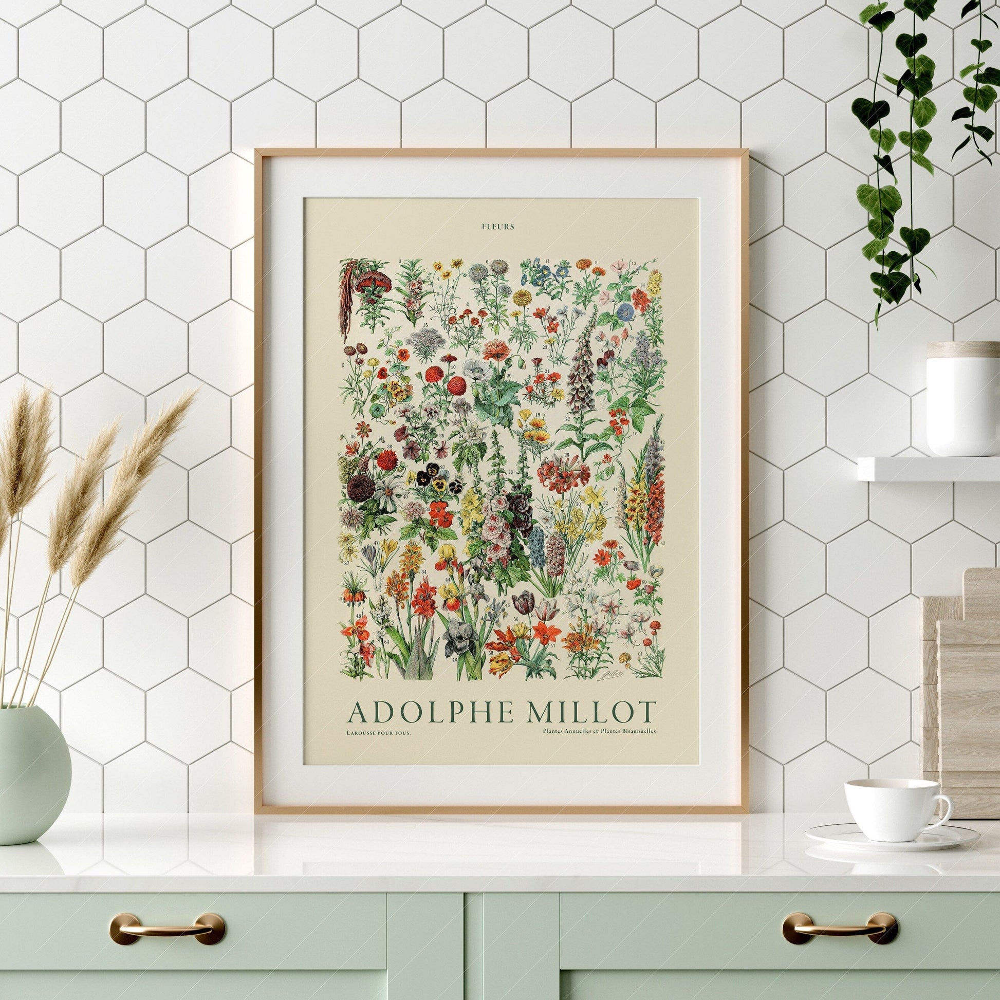 Home Poster Decor Single Flower Print, Adolphe Millot Poster, Vintage Flower Poster, Botanical Wall Art, Vintage Plants, Gift Idea