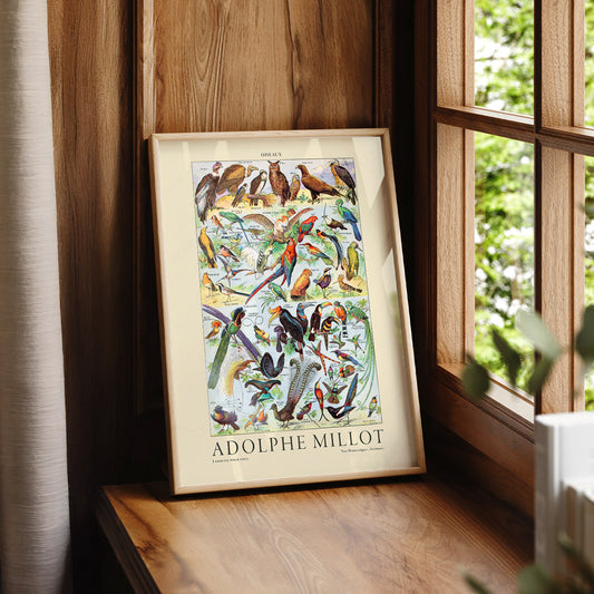 Adolphe Millot Oiseaux Birds Print – Vintage Scientific Poster Art – 12-01 — artwork preview 7
