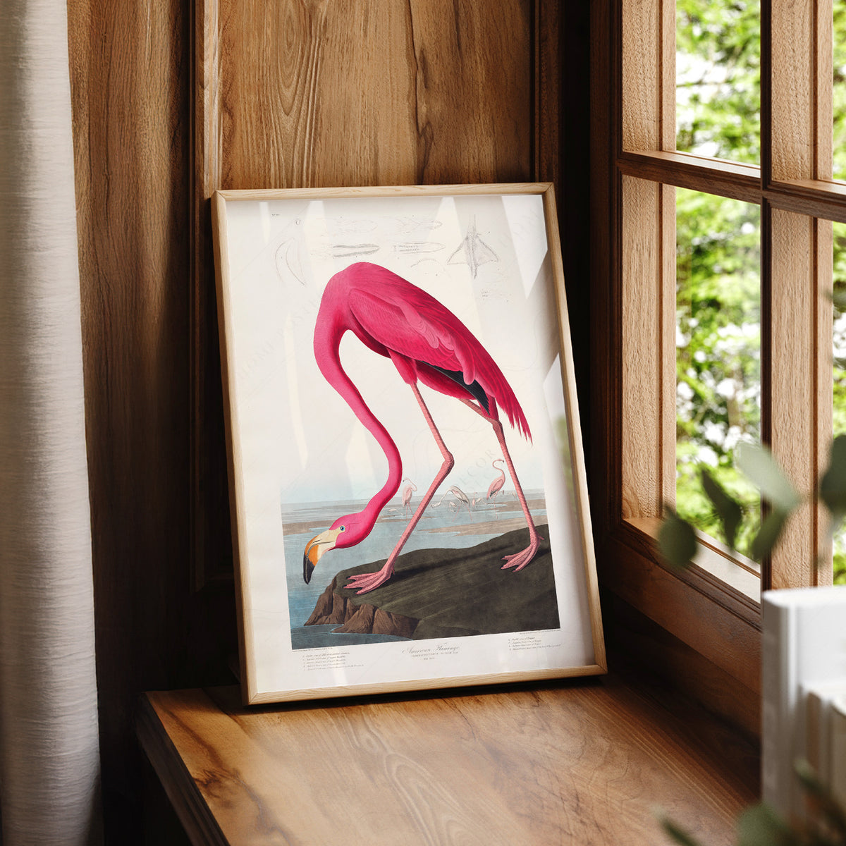 John James Audubon American Flamingo Print – Vintage Bird Wall Art – 02-02 — artwork preview 7