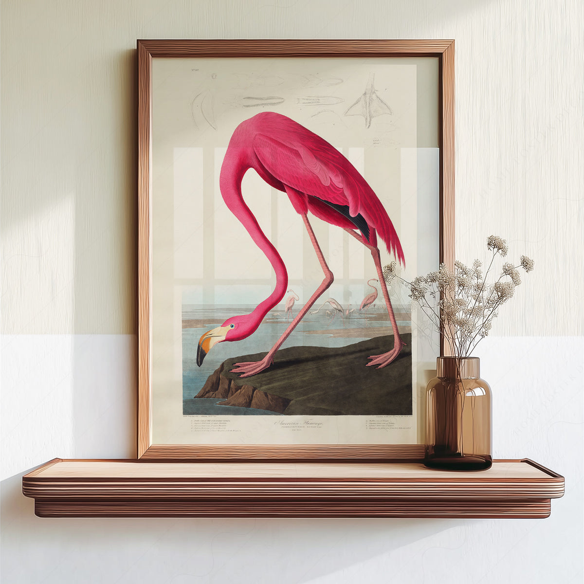 John James Audubon American Flamingo Print – Vintage Bird Wall Art – 02-02 — artwork preview 18