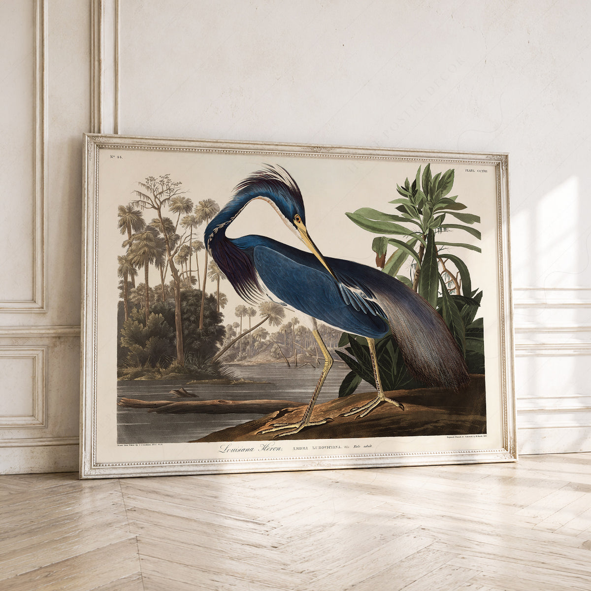 John James Audubon Louisiana Heron Print – Vintage Bird Wall Art – 02-01 — artwork preview 1