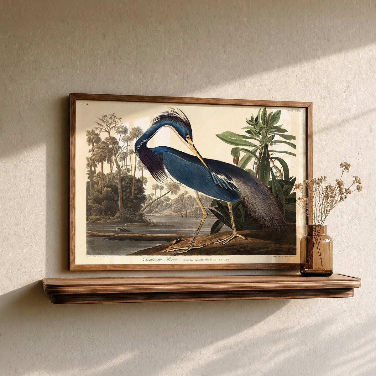 John James Audubon Louisiana Heron Print – Vintage Bird Wall Art – 02-01 — artwork preview 25