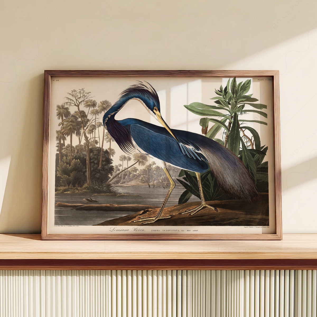 John James Audubon Louisiana Heron Print – Vintage Bird Wall Art – 02-01 — artwork preview 10