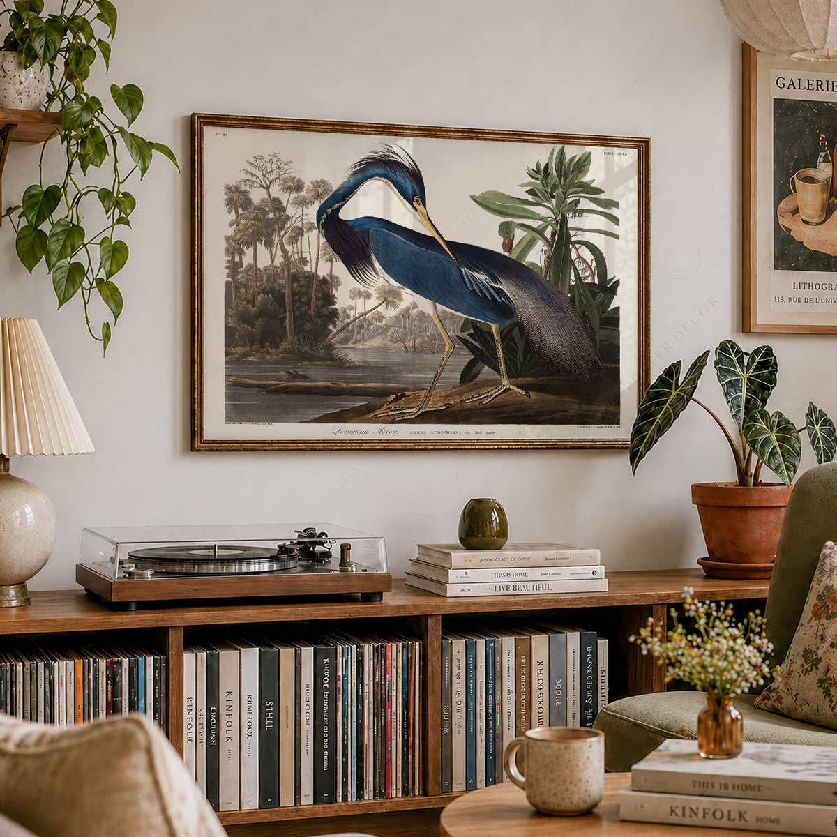 John James Audubon Louisiana Heron Print – Vintage Bird Wall Art – 02-01 — artwork preview 19