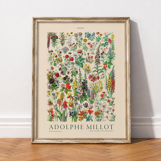 Adolphe Millot Fleurs Botanical Art Print – Vintage Flower Wall Art – 12-01 — artwork preview 2