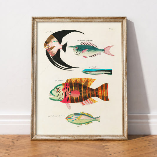 Vintage Fish Illustration Print – Antique Marine Life Wall Art Poster – 01-05 — artwork preview 2