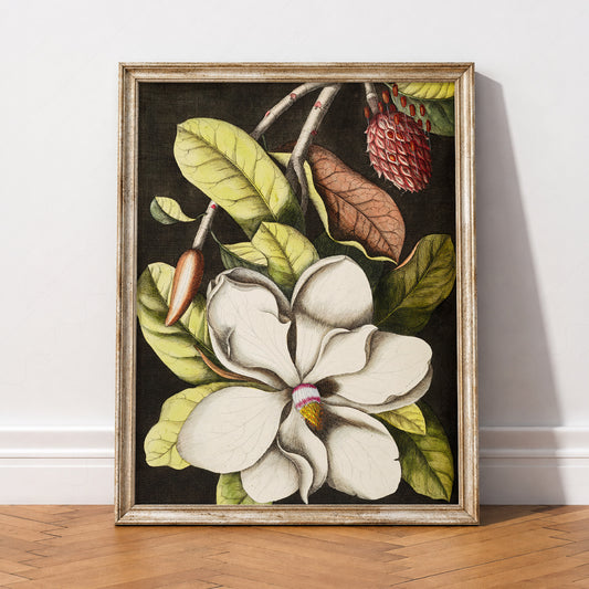 Vintage Magnolia Botanical Print – Dark Academia Floral Wall Art Poster – 04-59 — artwork preview 2