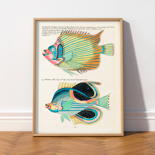 Vintage Fish Illustration Art Print – Coastal Nautical Wall Decor Poster – 01-02 — artwork preview 2