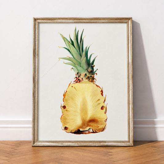 Vintage Pineapple Botanical Art Print – Tropical Kitchen Wall Decor – 08-13 — artwork preview 2