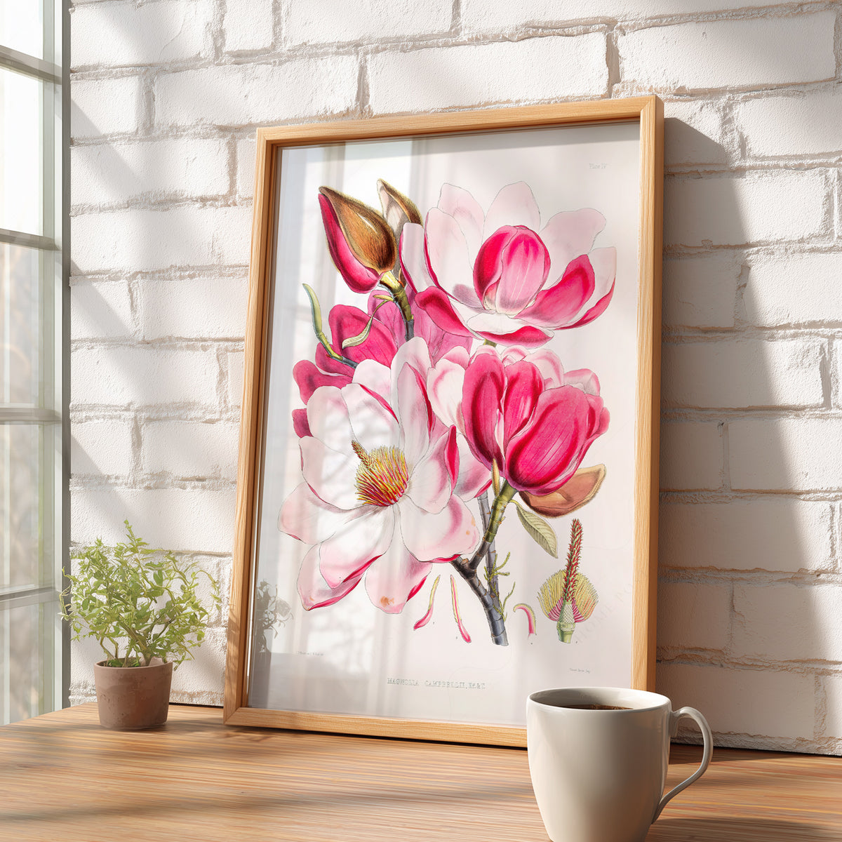 Vintage Magnolia Botanical Print – Pink Floral Wall Art Poster – 04-06 — artwork preview 16