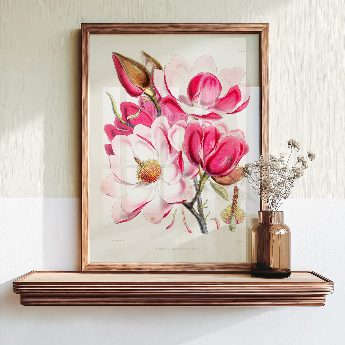 Vintage Magnolia Botanical Print – Pink Floral Wall Art Poster – 04-06 — artwork preview 18