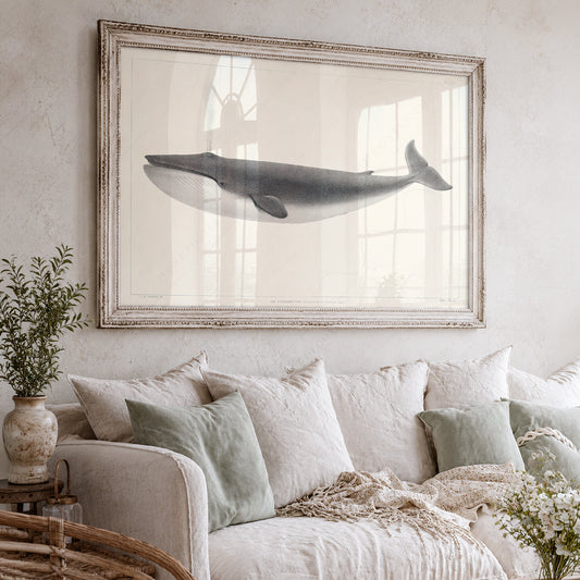 Vintage Whale Illustration Print – Nautical Wall Art Coastal Decor – 01-24 — artwork preview 3