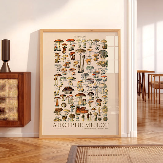 Adolphe Millot Champignons Mushroom Print – Vintage Botanical Poster — artwork preview 5
