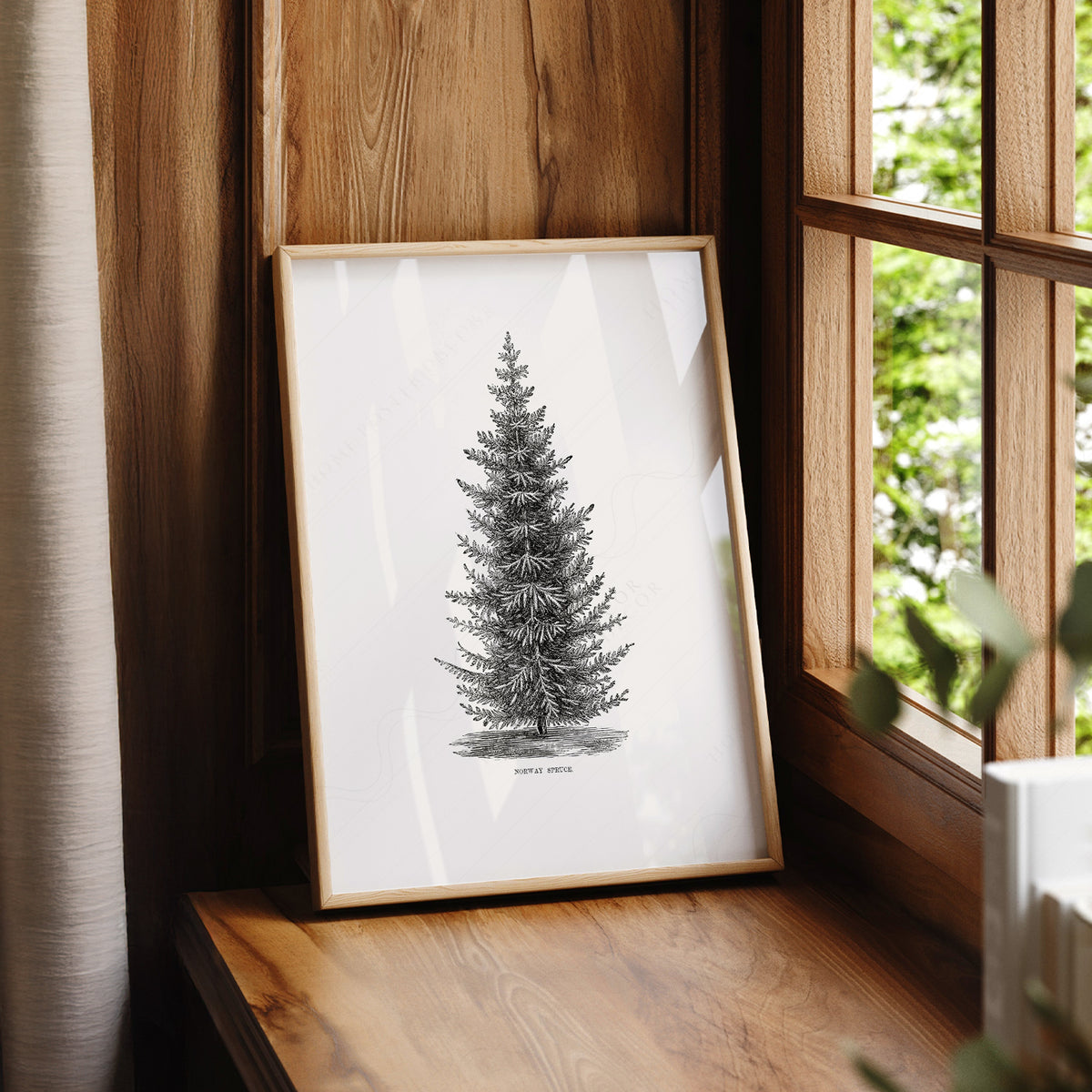 Norway Spruce Tree Botanical Print – Vintage Forest Wall Art Poster – 18-01 — artwork preview 7
