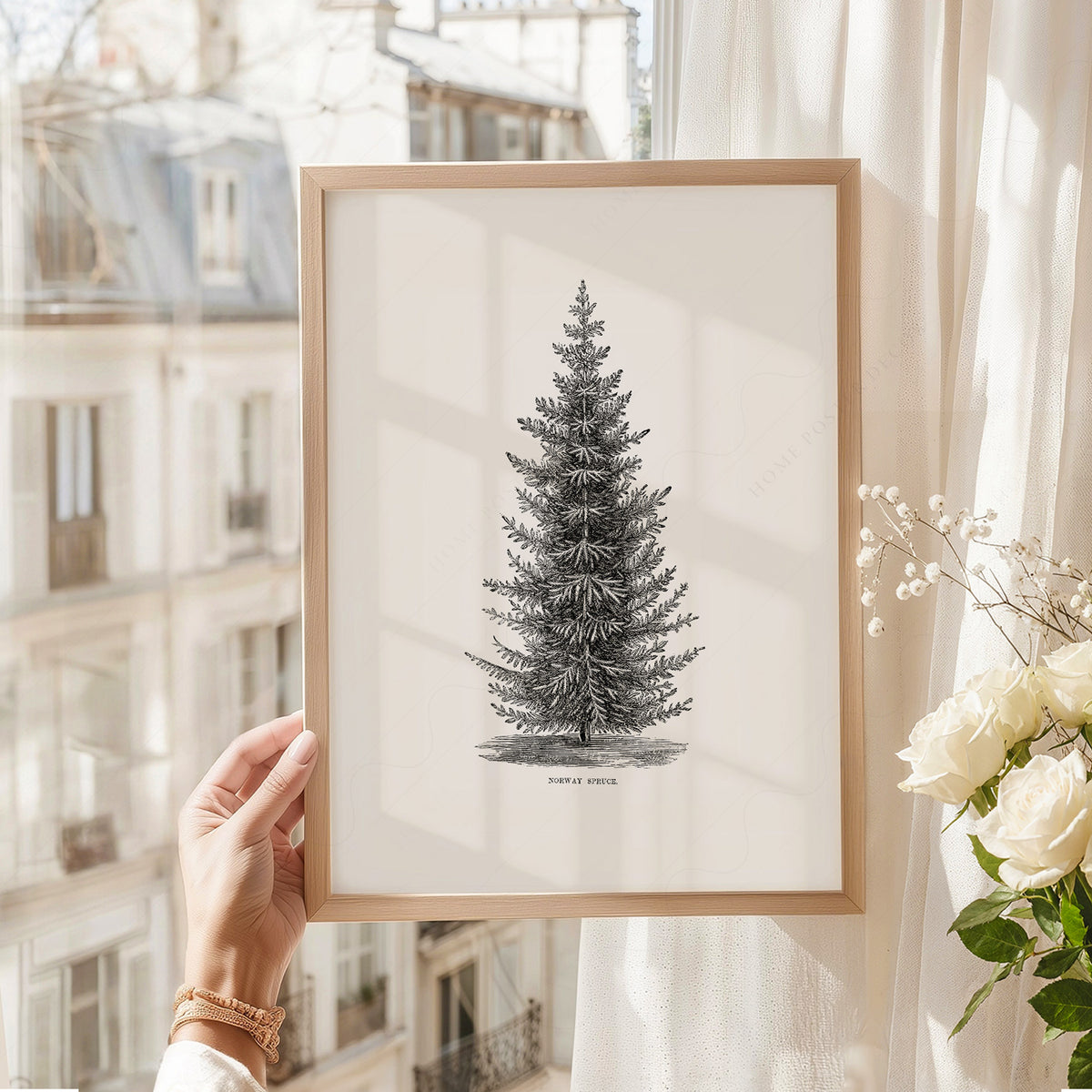 Norway Spruce Tree Botanical Print – Vintage Forest Wall Art Poster – 18-01 — artwork preview 8
