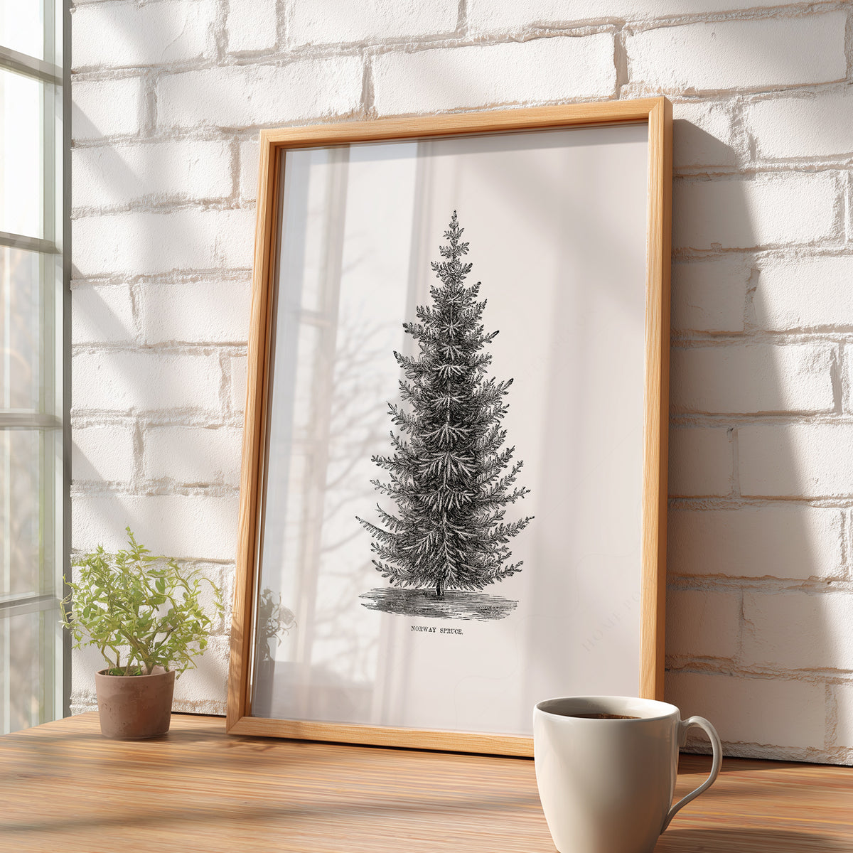 Norway Spruce Tree Botanical Print – Vintage Forest Wall Art Poster – 18-01 — artwork preview 16