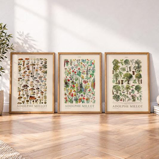 Adolphe Millot Botanical Print Set of 3 – Vintage Nature Wall Art – 12-01 — artwork preview 4