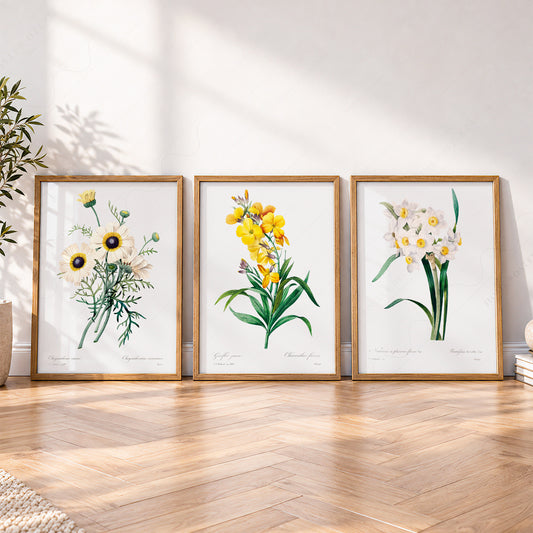 Botanical Gallery Wall Set of 3 Prints – Vintage Flower Art Poster Collection – 0-02 — artwork preview 4