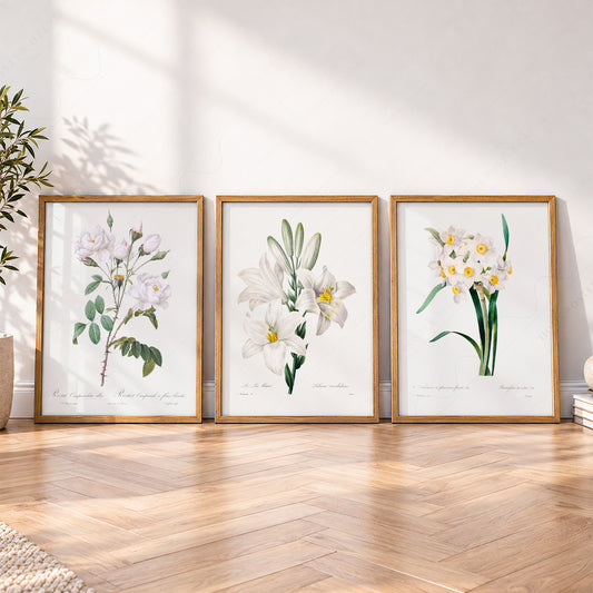 Botanical Gallery Wall Art Set of 3 – Vintage White Flower Prints – 0-05 — artwork preview 4