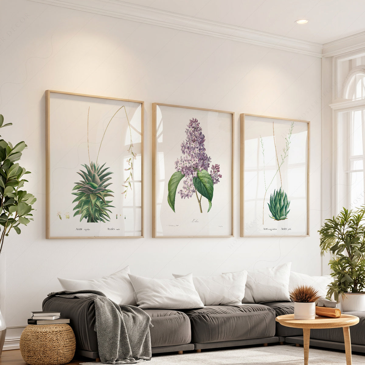 Botanical Gallery Wall Art Set of 3 Prints – Vintage Aloe & Lilac Poster – 0-06 — artwork preview 1