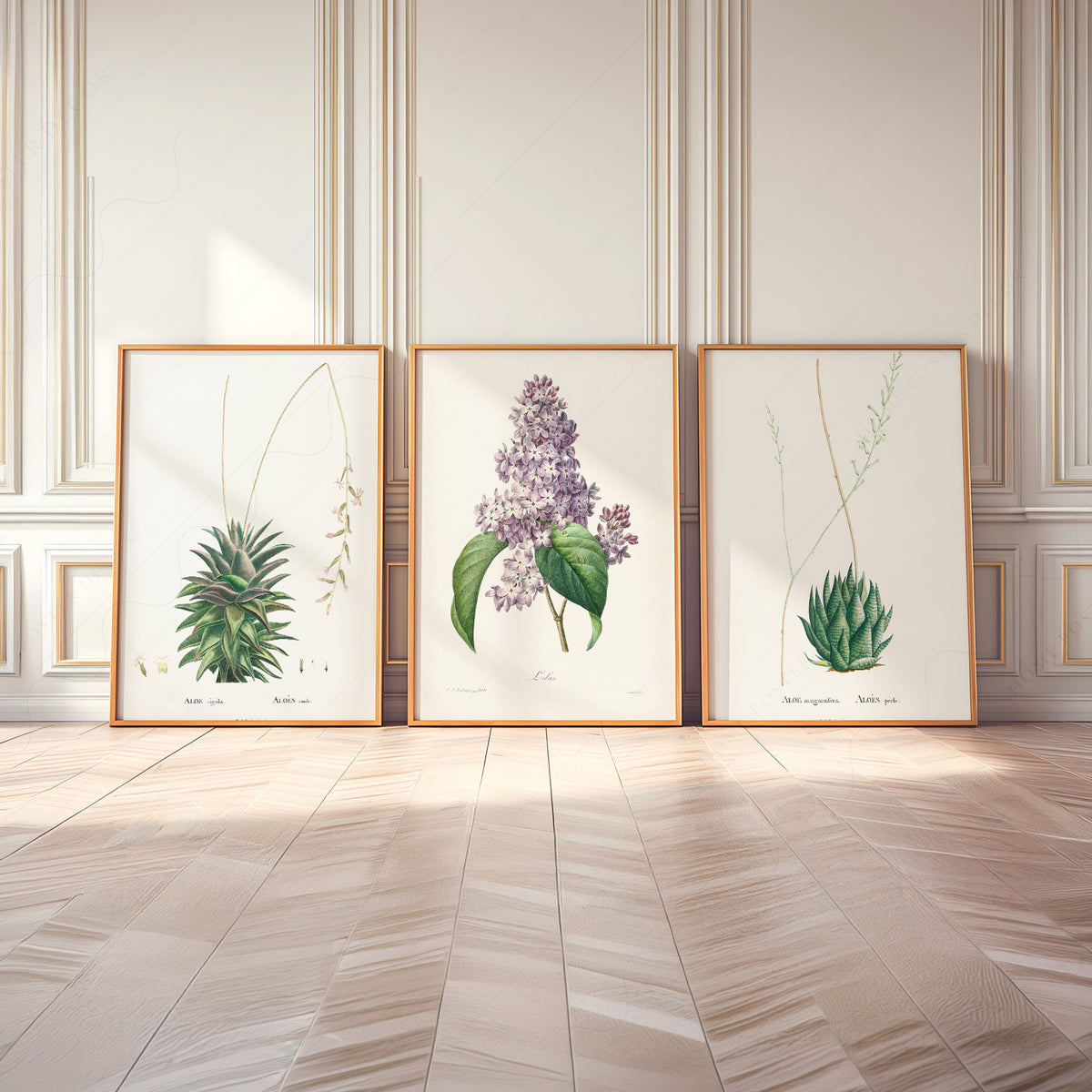 Botanical Gallery Wall Art Set of 3 Prints – Vintage Aloe & Lilac Poster – 0-06 — artwork preview 8