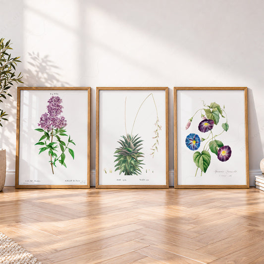 Botanical Gallery Wall Art Set of 3 Prints – Vintage Floral Decor Posters – 0-07 — artwork preview 4