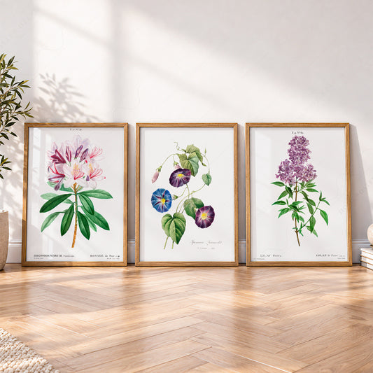 Vintage Botanical Print Set of 3 – Antique Floral Wall Art Posters – 0-08 — artwork preview 4