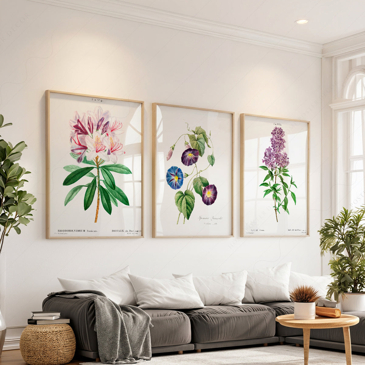 Vintage Botanical Print Set of 3 – Antique Floral Wall Art Posters – 0-08 — artwork preview 1