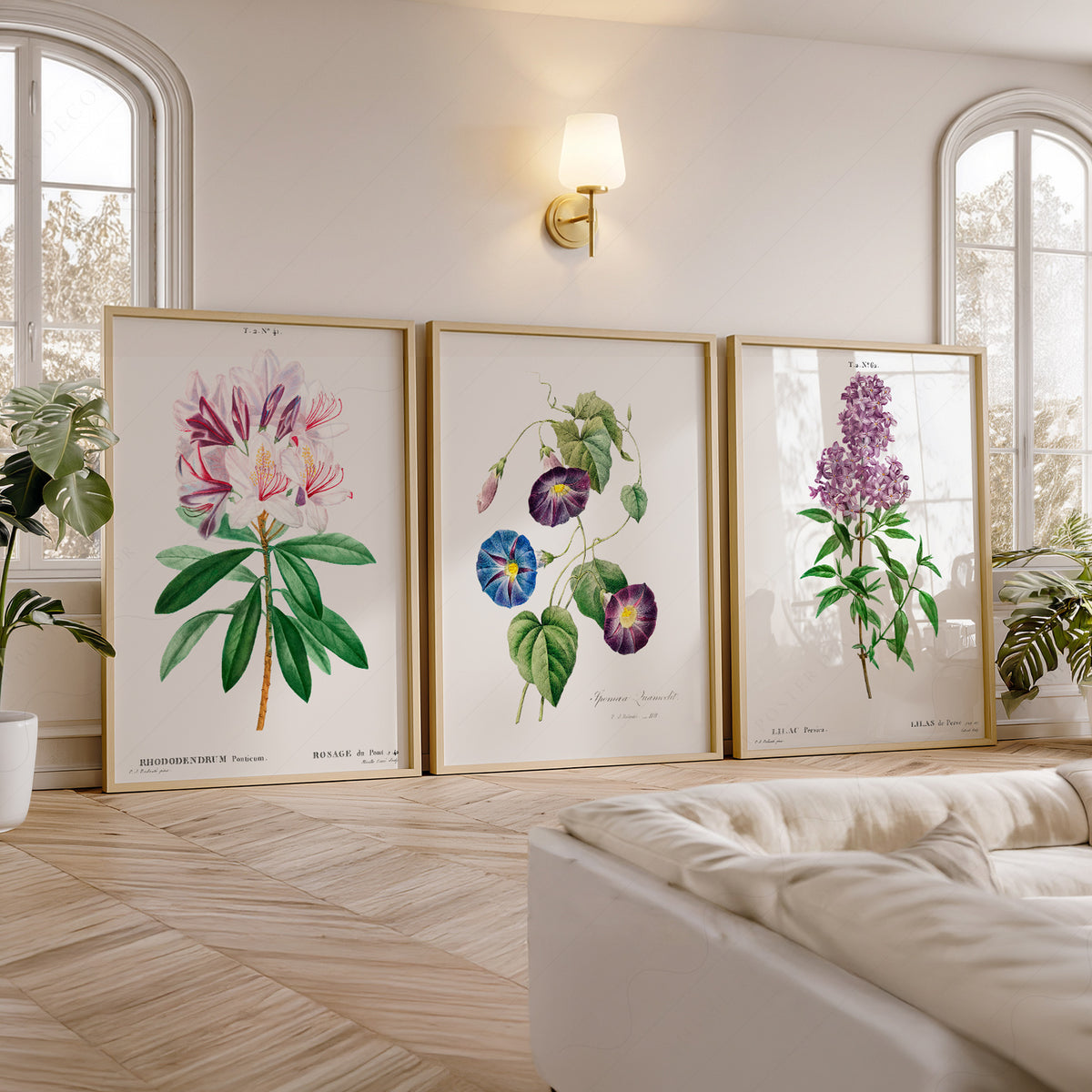 Vintage Botanical Print Set of 3 – Antique Floral Wall Art Posters – 0-08 — artwork preview 5