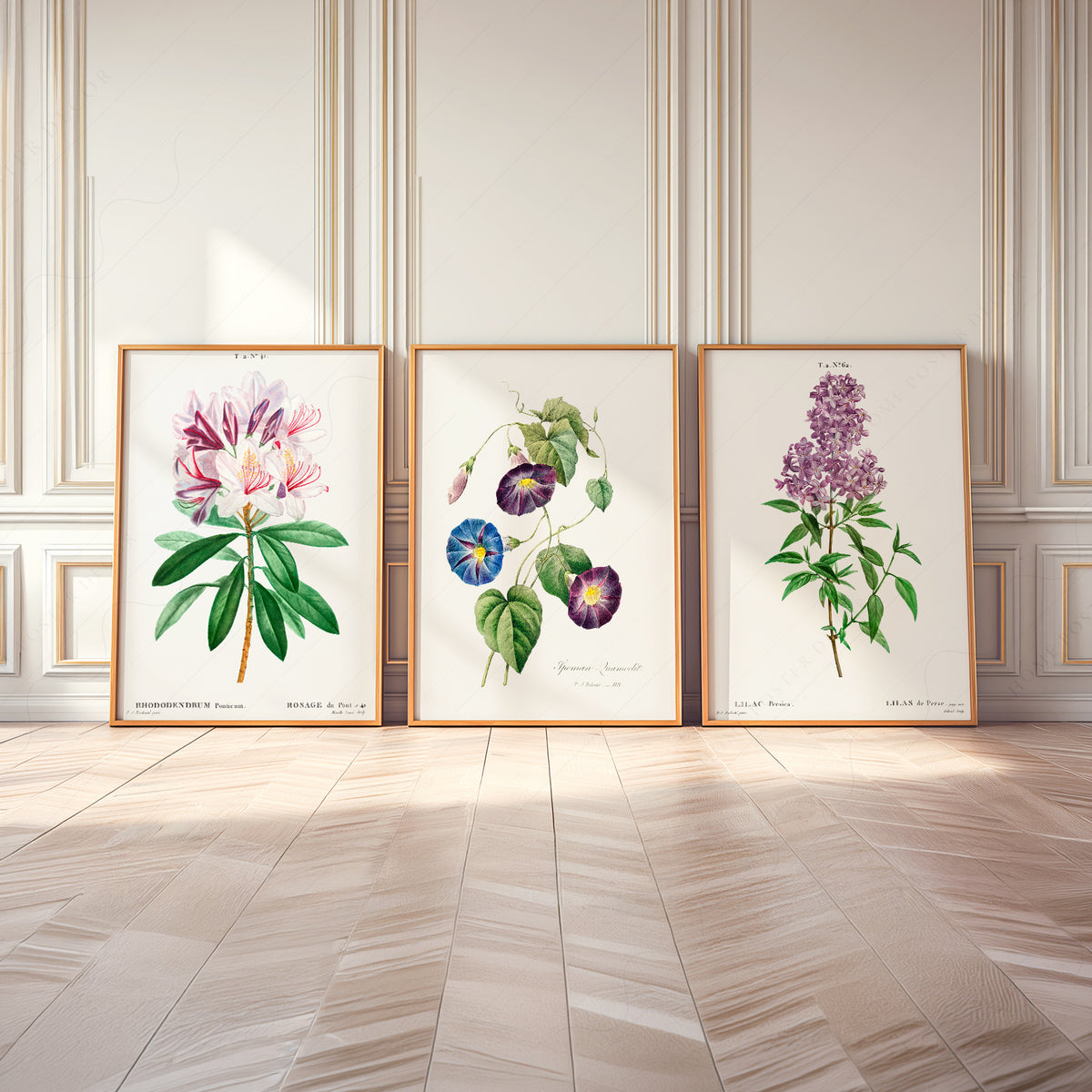 Vintage Botanical Print Set of 3 – Antique Floral Wall Art Posters – 0-08 — artwork preview 8