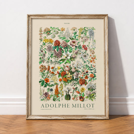 Adolphe Millot Fleurs Botanical Print – Vintage Flower Wall Art Poster – 12-02 — artwork preview 2