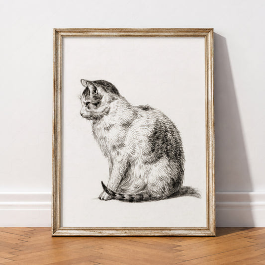 Jean Bernard Sitting Cat Drawing Art Print – Vintage Animal Wall Art – 15-07 — artwork preview 2