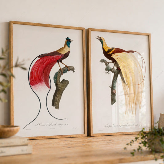 Vintage Birds of Paradise Art Print Set – Botanical Wall Art Poster Pair – 02-01 — artwork preview 8