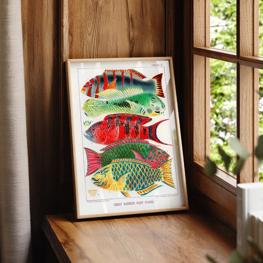 Great Barrier Reef Fishes Vintage Print – Coastal Wall Art Poster – 01-18 — artwork preview 7