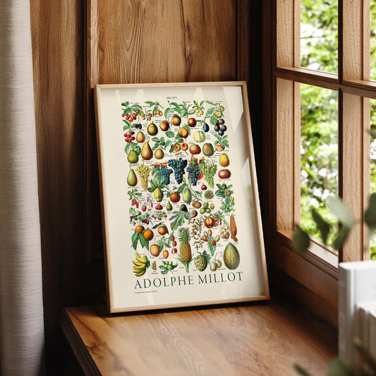 Adolphe Millot Fruits Botanical Print – Vintage Kitchen Wall Art Poster – 12-01 — artwork preview 7