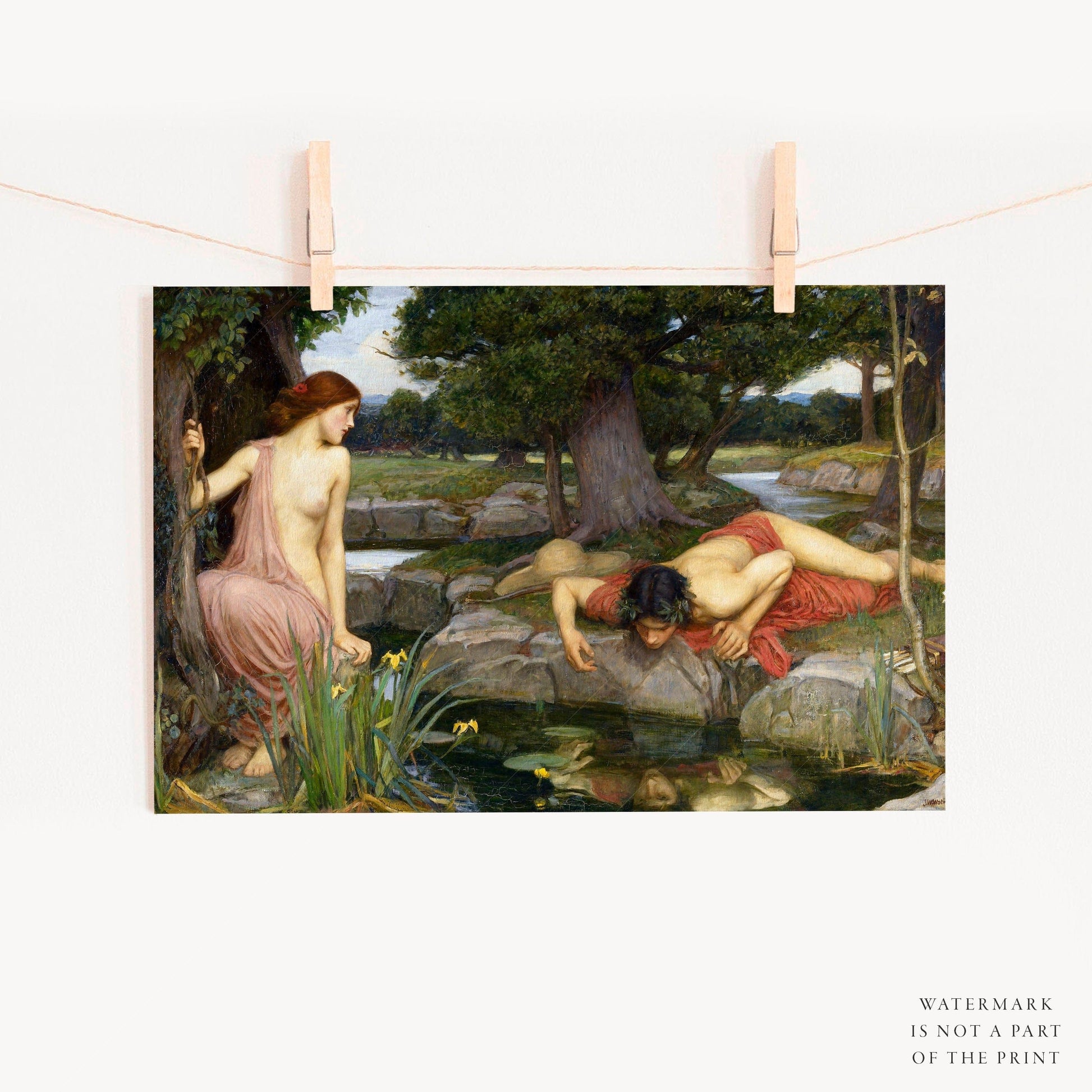 Home Poster Decor Single John William Waterhouse, Echo and Narcissus, Art Reproduction, Fine Art, Antique Print, Women with Flowers, Wedding Gift  72-4