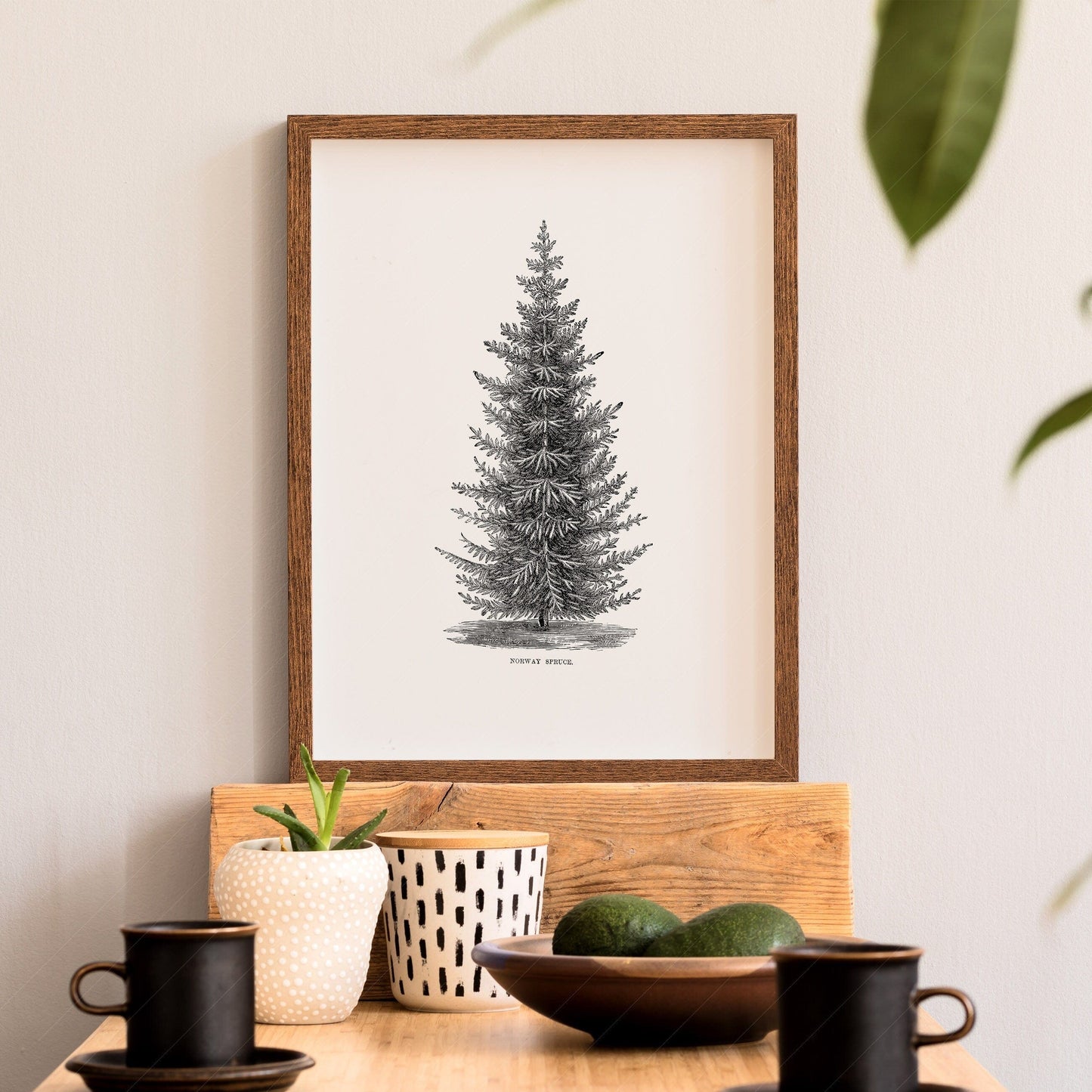 Home Poster Decor Norway spruce tree, Botanical Print, Forest Poster, Winter Tree Photo, Pine Tree Print, Vintage Nature Art, Vintage Gift, Nordic Forest