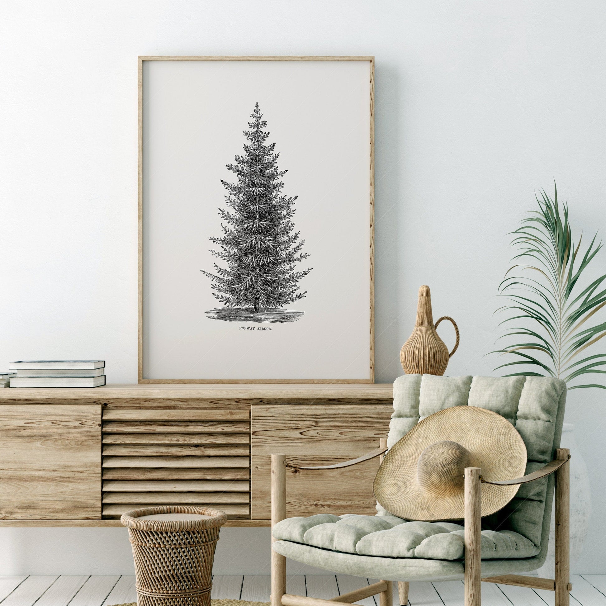Home Poster Decor Norway spruce tree, Botanical Print, Forest Poster, Winter Tree Photo, Pine Tree Print, Vintage Nature Art, Vintage Gift, Nordic Forest