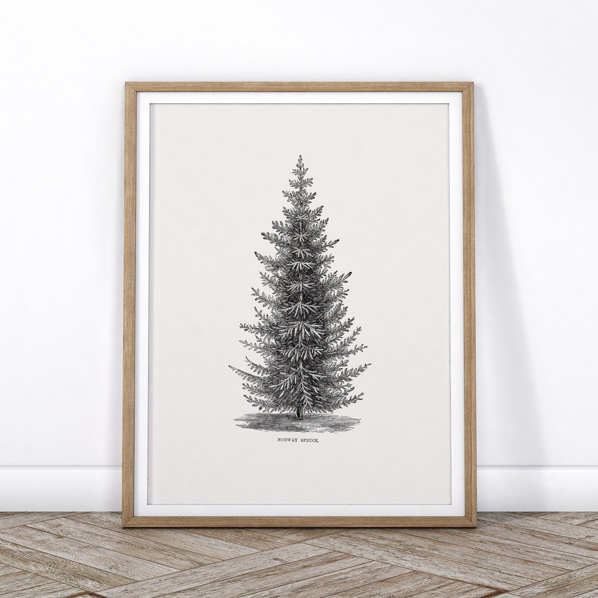 Art Print, Black and White Art, Tree Drawing, Gifts for Nature