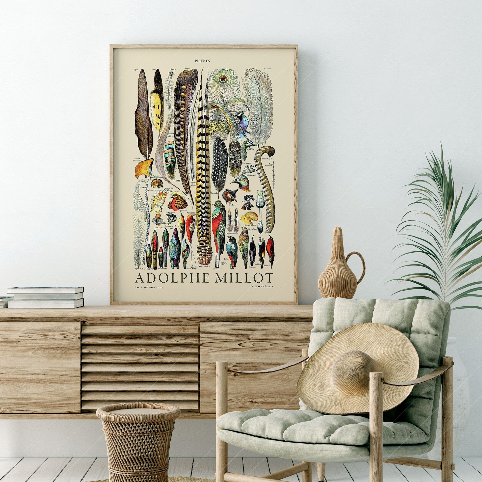Home Poster Decor Plumes Feathers, Vintage Birds Art, Adolphe Millot, Neutral Poster, Botanical Prints, Aesthetic Room Decor, Wedding Gift, Nature Wall Art