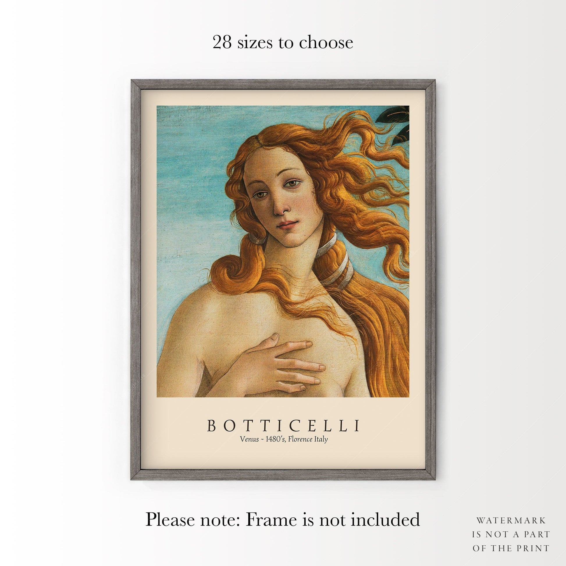 Home Poster Decor Single Sandro Botticelli, The Birth of Venus, Botticelli Print, Birth of Venus Paint, Botticelli Venus, Famous Art, Gift Idea, Museum Quality Print