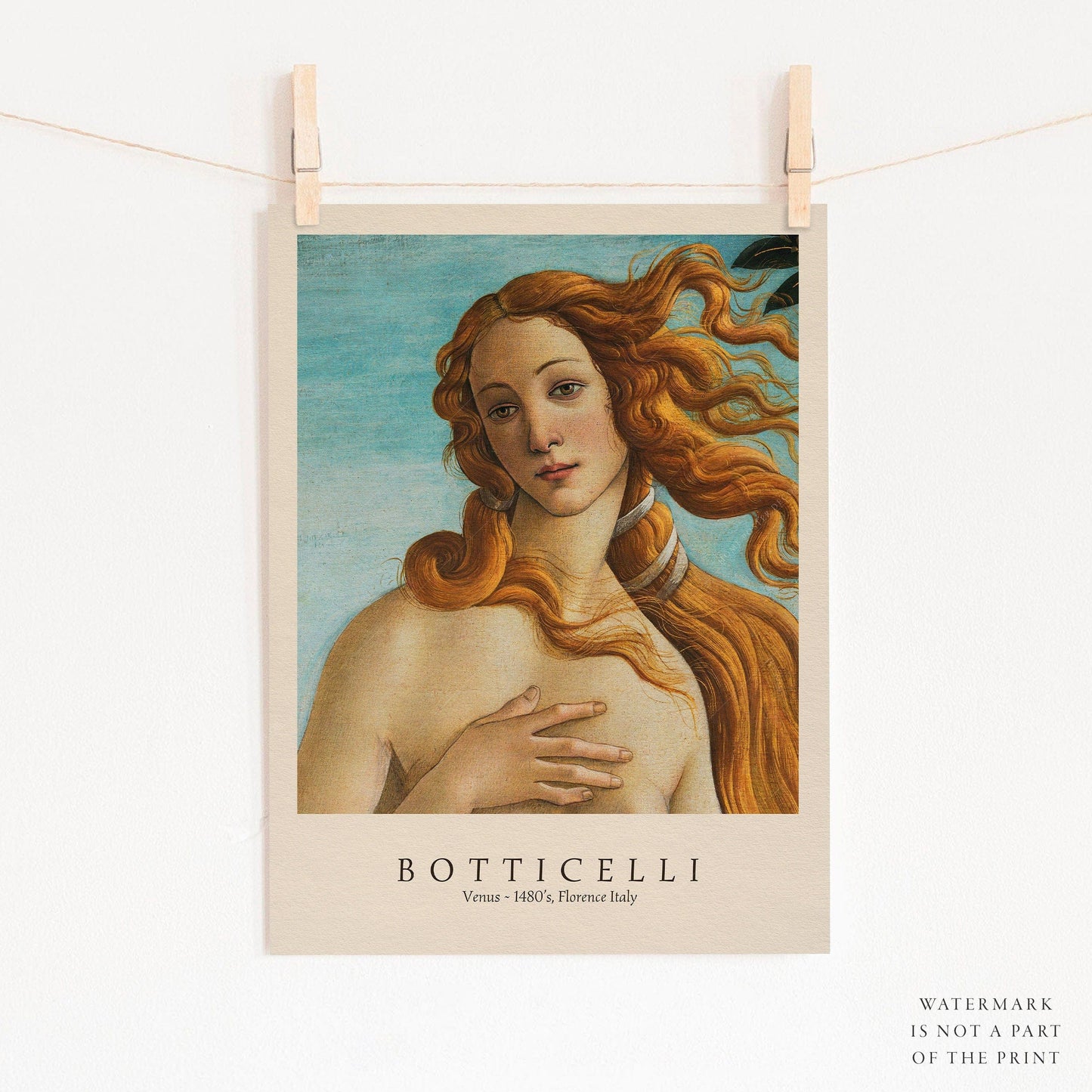 Home Poster Decor Single Sandro Botticelli, The Birth of Venus, Botticelli Print, Birth of Venus Paint, Botticelli Venus, Famous Art, Gift Idea, Museum Quality Print