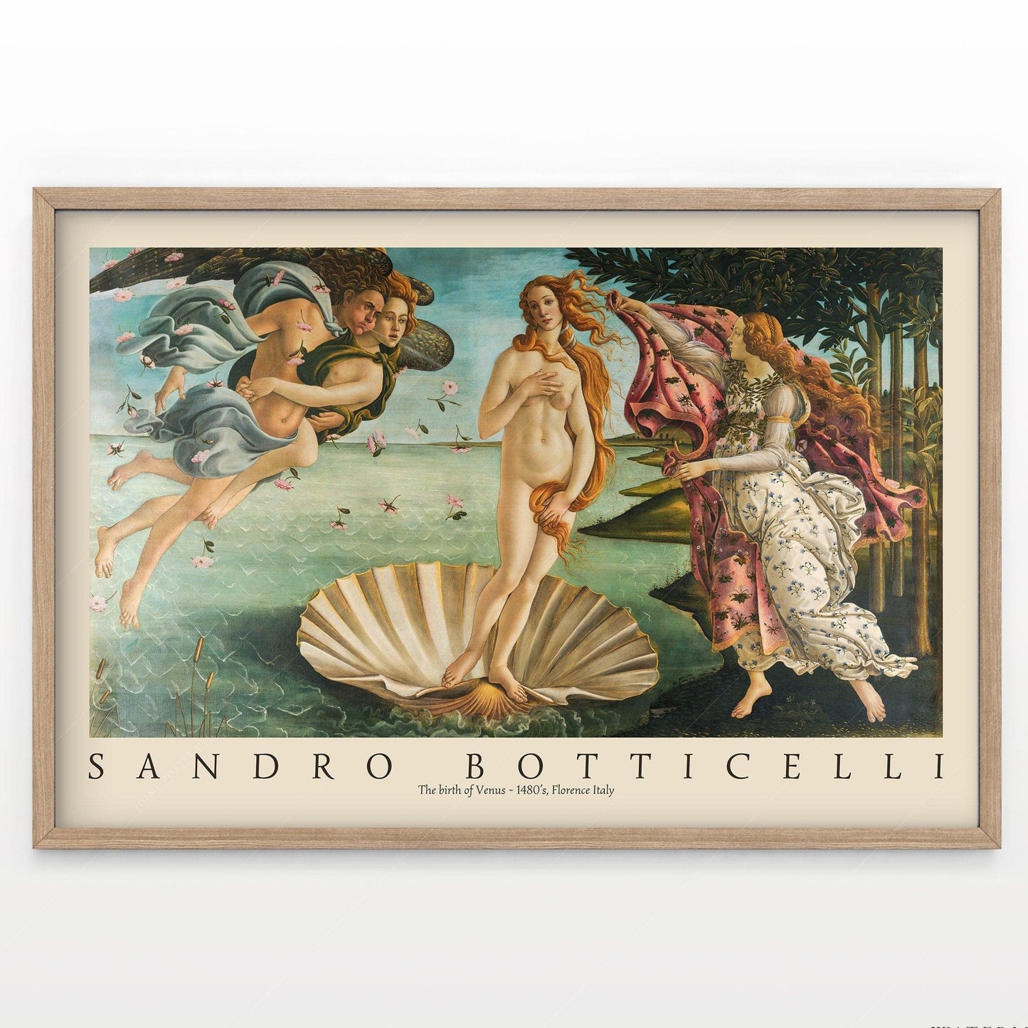 Home Poster Decor Single Sandro Botticelli, The Birth of Venus, Botticelli Print, Birth of Venus Paint, Botticelli Venus, Famous Art, Gift Idea, Museum Quality Print