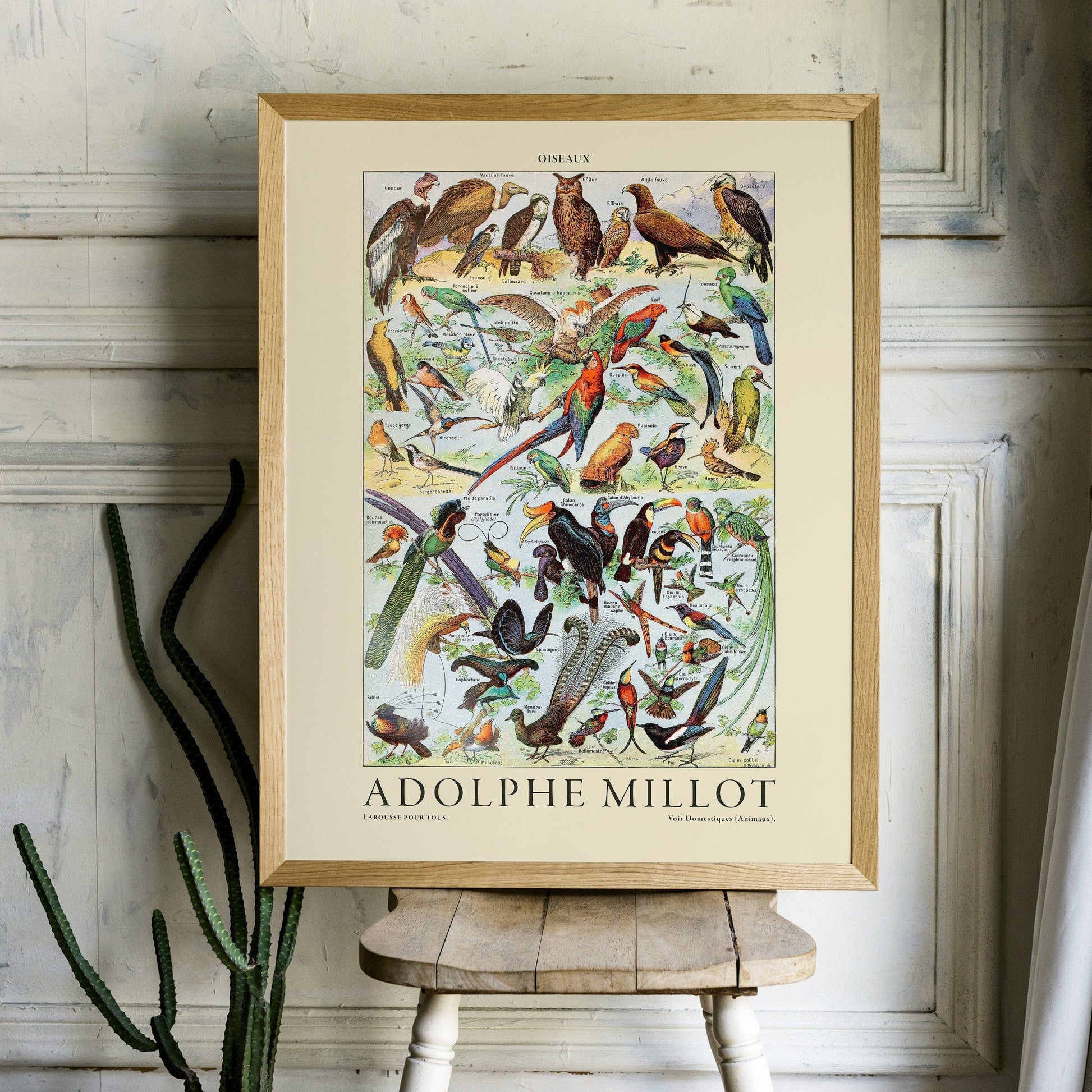 Home Poster Decor Vintage Bird Print, Adolphe Millot Poster, Botanical Bird, Vintage Nature, Gift Idea, A2 11x14 40x50 50x70 60x90 18x24 24x36